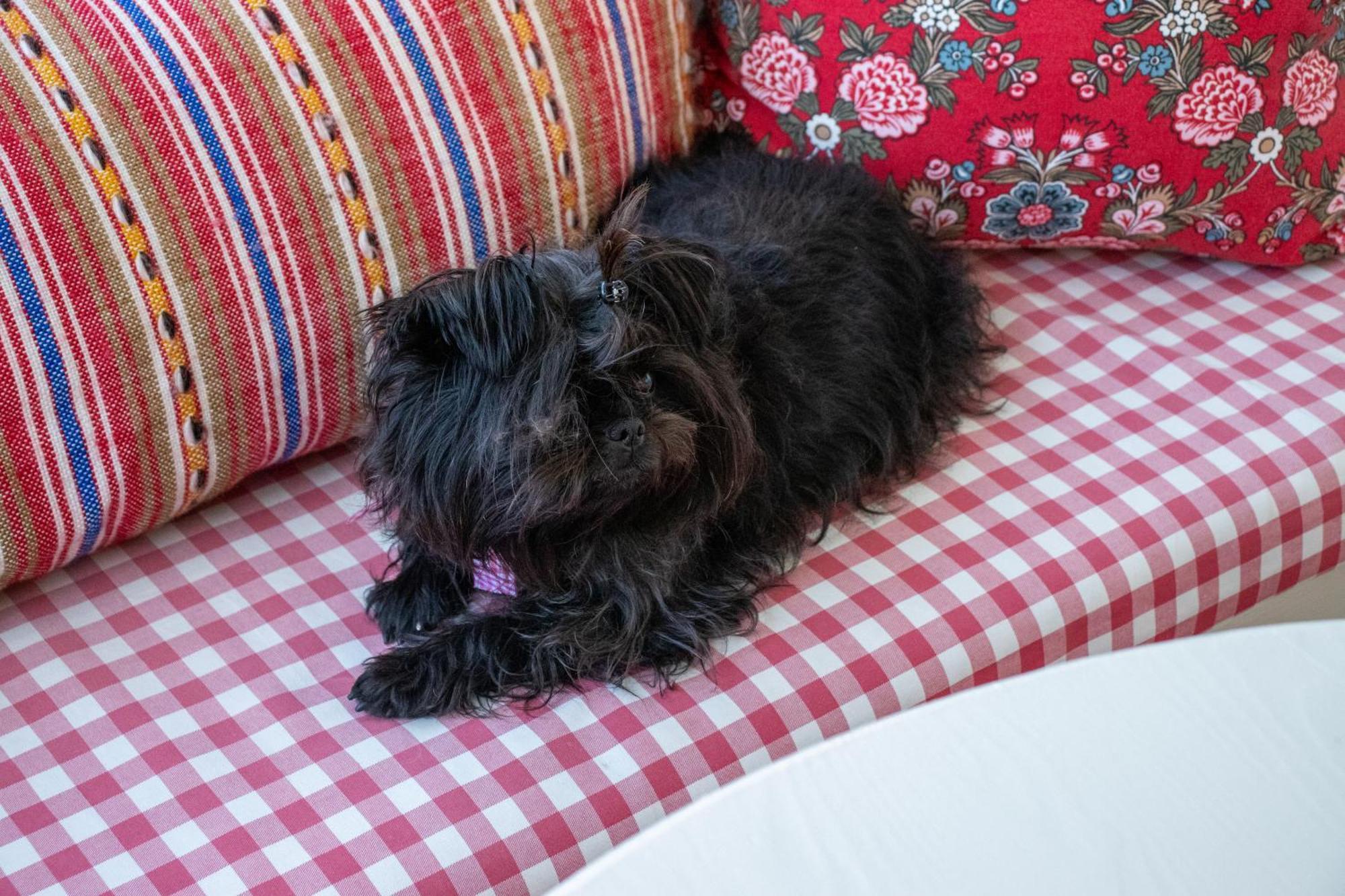 Hem Till Garden Boutique Hotel ヴェステロース エクステリア 写真